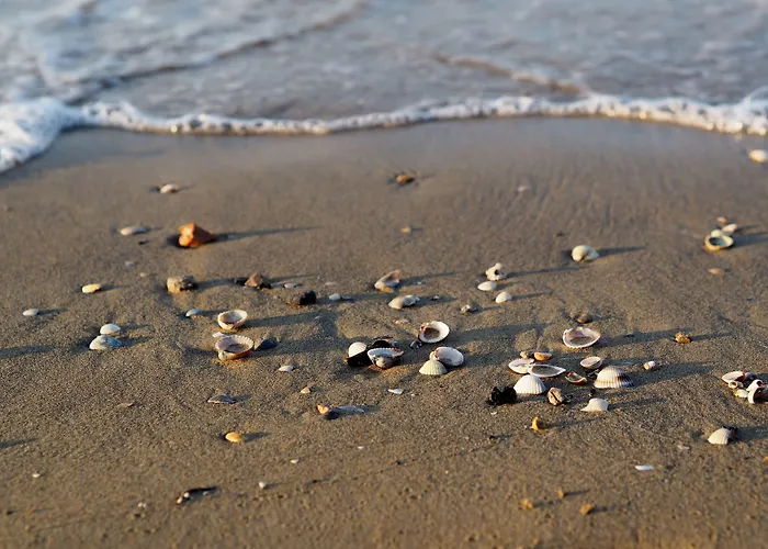 Spacious Flat With Fireplace Terrace