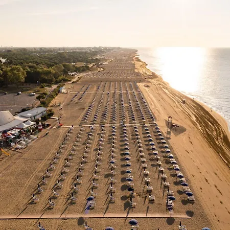 Spacious Flat With Fireplace Terrace *