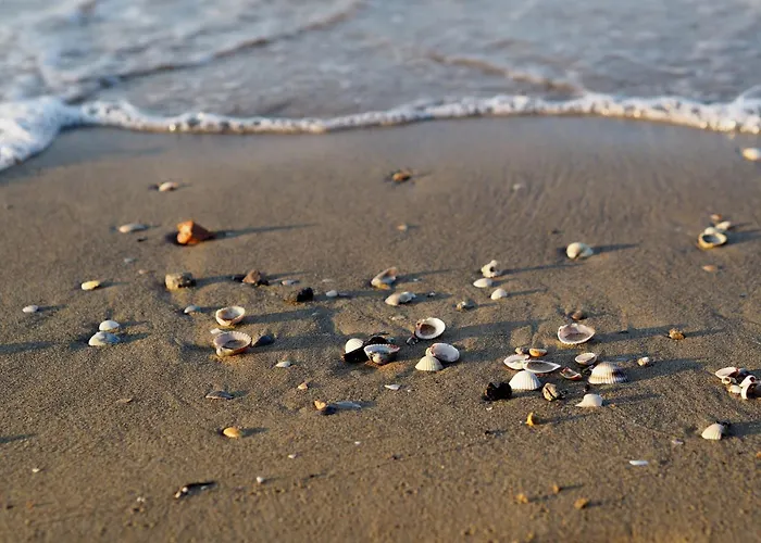 Spacious Flat With Fireplace Terrace Lägenhet Bibione